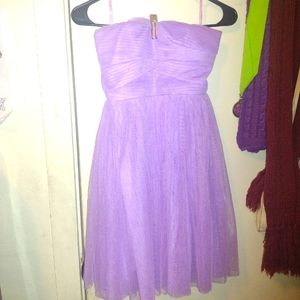 short tool purple dress